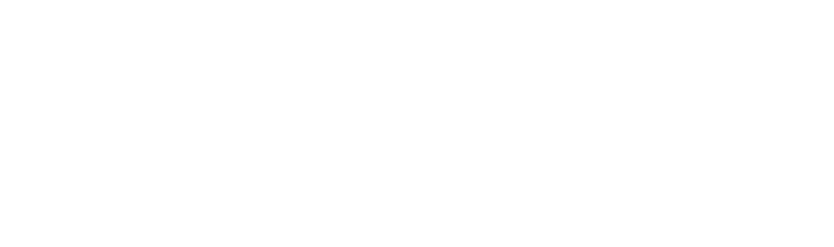 Woodford Physio Logo